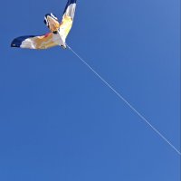 IMG_5860